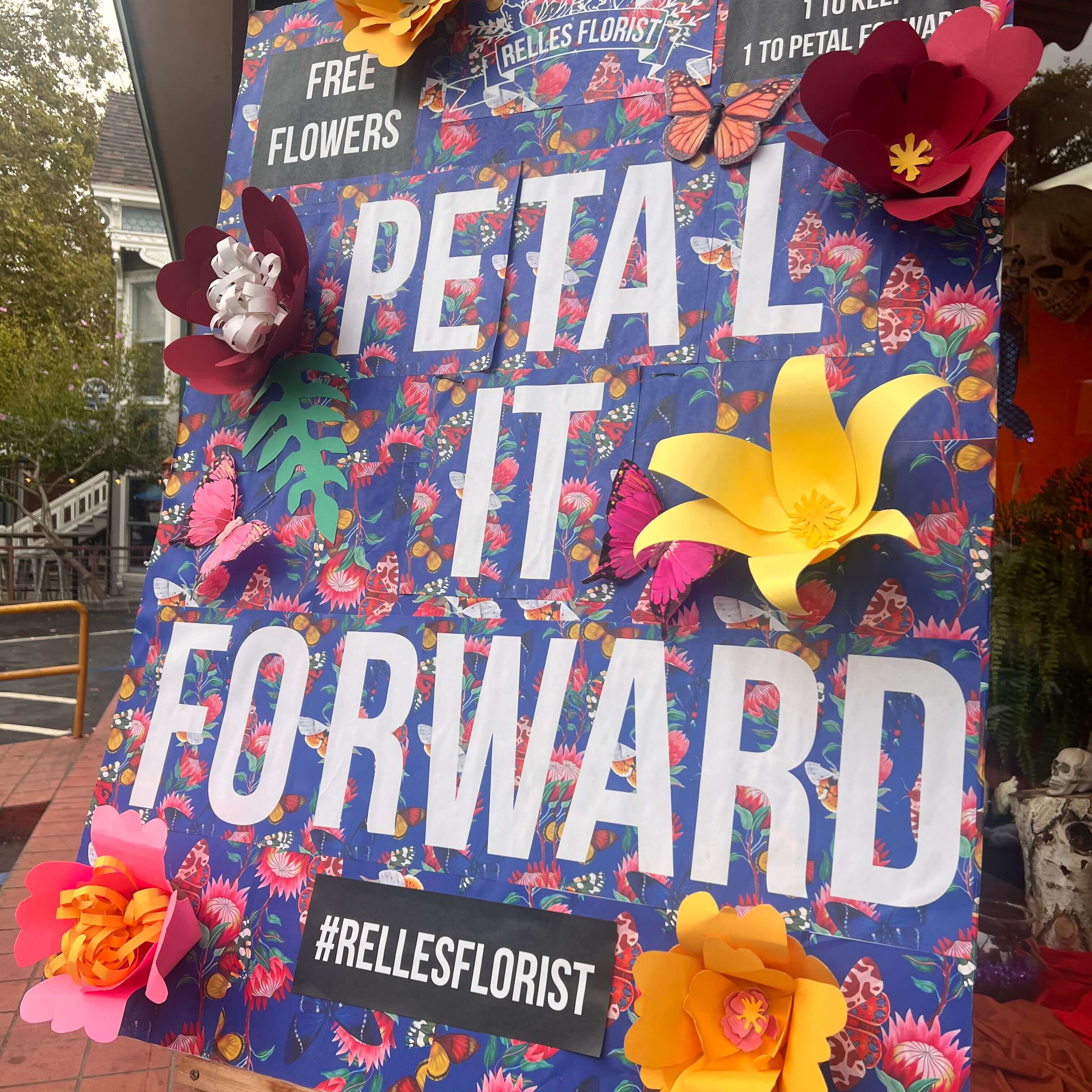 20241016_165830420_iOS