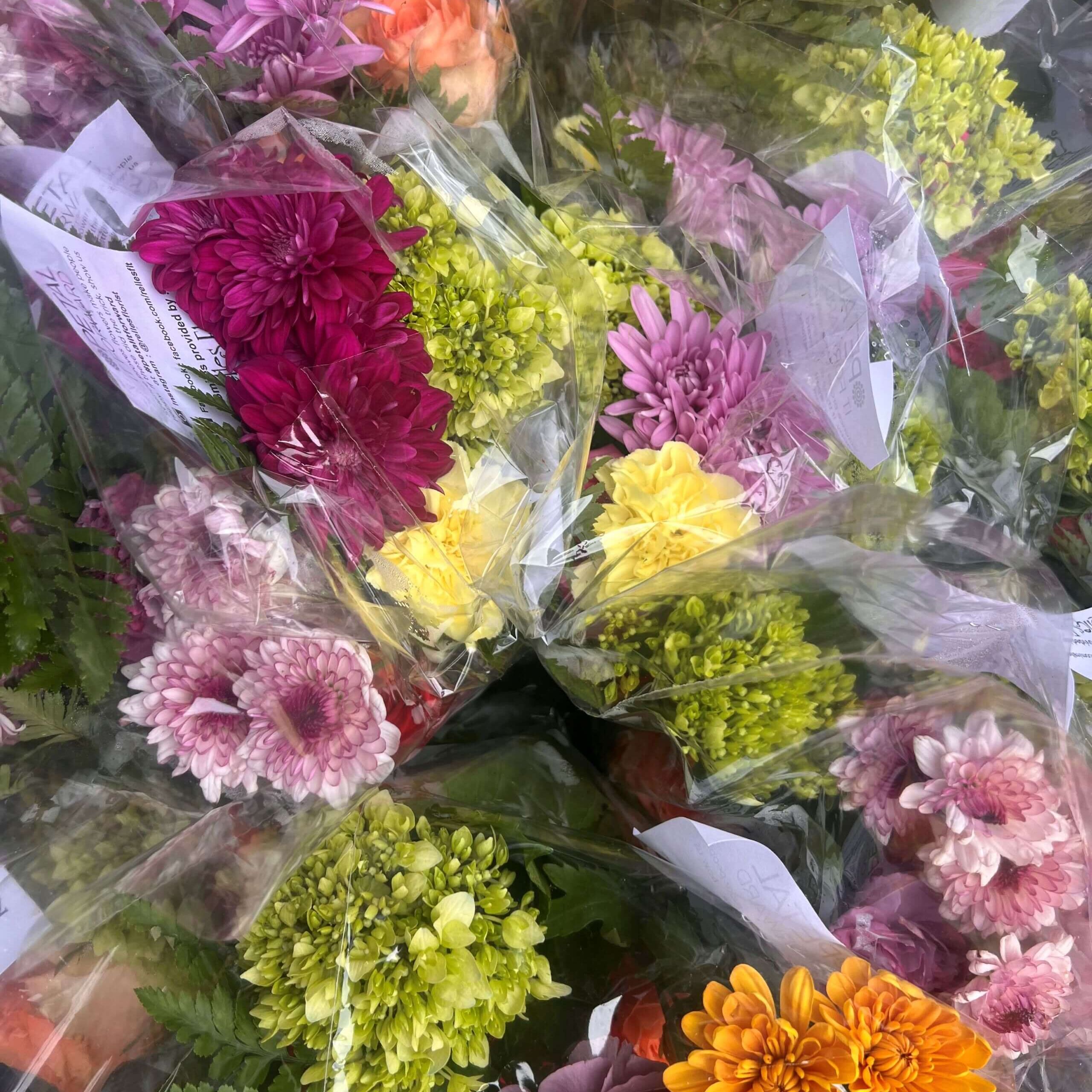 20241016_170449480_iOS